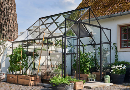 Qube Halls Royal Well Tuinkassen Tuinkasgemak