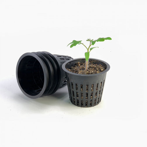 Makkelijke Moestuin airpotjes accessoires