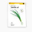 Zaad voor Lente - Ui