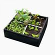 Makkelijke Moestuin Airbak 60x60 cm Zwart
