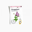 Zaad voor Dropplant